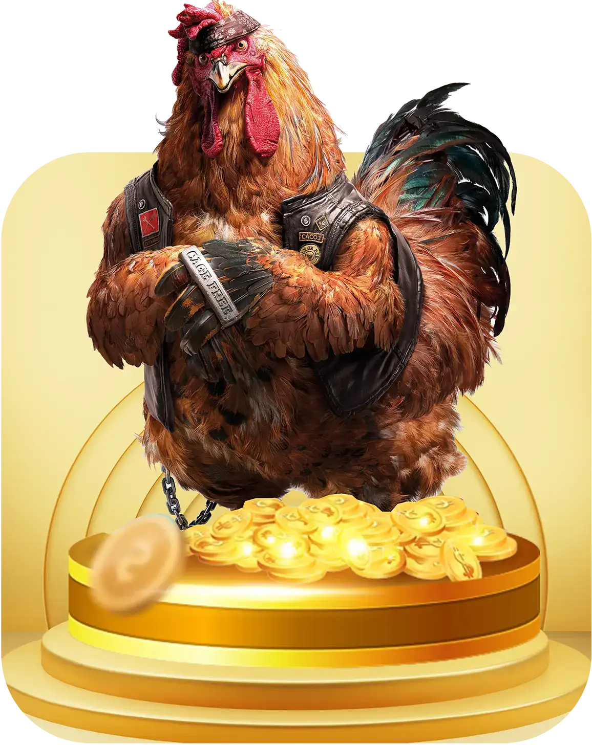 thumb đá gà